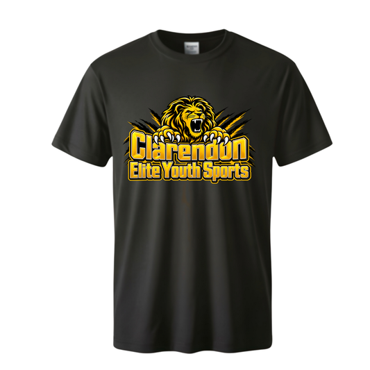 Clarendon Elite Youth Sports